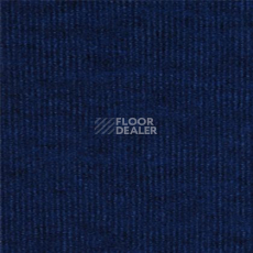 Ковролин Tapibel Secura 4838 фото 1 | FLOORDEALER