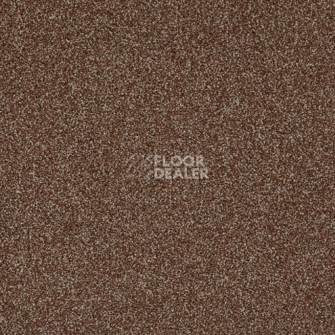 Ковролин Betap Transmit 93 фото 1 | FLOORDEALER