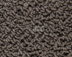 Ковролин Best Wool Pure Royal Marquis 179 фото 1 | FLOORDEALER