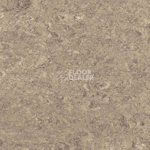 Линолеум Gerflor Marmorette DLW  2mm 0106 Hazelnut Shake фото 1 | FLOORDEALER
