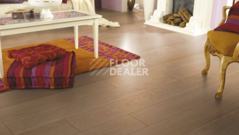 Kronotex Exquisit 8мм d3004 Дуб Вейвлесс Натуральный фото 5 | FLOORDEALER