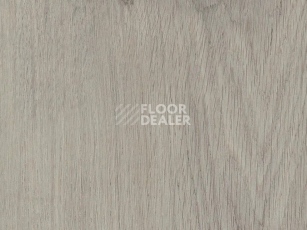 Кварцвиниловые полы AW Invictus Primus Plank Royal Oak Dove фото 1 | FLOORDEALER