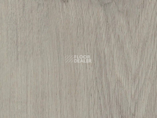 Кварцвиниловые полы AW Invictus Primus Plank Royal Oak Dove фото 1 | FLOORDEALER