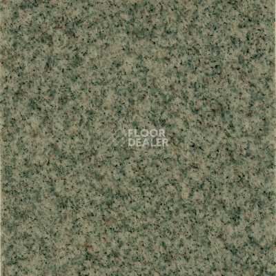 Линолеум Grabo Terrana Top Extra 4546-258 фото 1 | FLOORDEALER