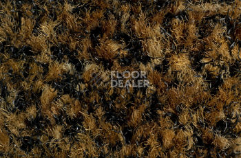 Forbo Coral Brush 5716 Masala Brown фото 2 | FLOORDEALER