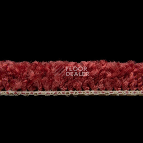 Balsan Sweet Dreams 560 фото 3 | FLOORDEALER