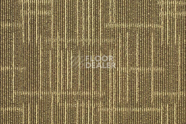 Ковровая плитка Shaw Straightforward 70335 фото 1 | FLOORDEALER