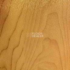Линолеум Desoma Sport Universal 6.5 Wood 0607f Maple фото 1 | FLOORDEALER