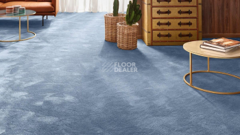 Vorwerk Exclusive 1060 Safira 3q44 фото 2 | FLOORDEALER