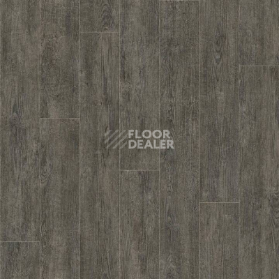 Линолеум Tarkett Evolution Vancouver 5 фото 1 | FLOORDEALER