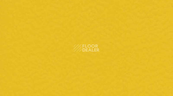 Линолеум Gerflor Taraflex evolution Uni 6211_Gold фото 1 | FLOORDEALER