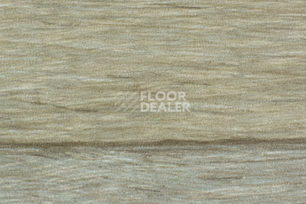 Линолеум Forbo Emerald Wood Fr 8702 фото 1 | FLOORDEALER