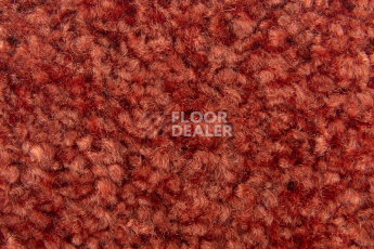 Balsan Ultrasoft Dalle 550 фото 3 | FLOORDEALER
