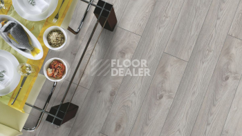 Kronotex Mammut Plus d4793 Дуб Белый Макро фото 6 | FLOORDEALER
