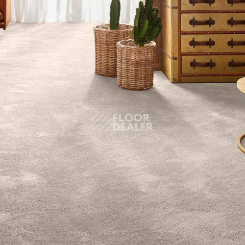 Vorwerk Exclusive 1060 Safira 8 h 73 фото 2 | FLOORDEALER