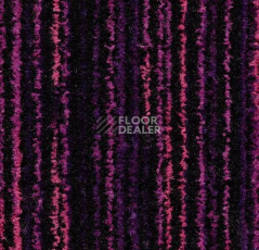 Ковровая плитка Forbo Coral Welcome 3219 Colour Purple фото 1 | FLOORDEALER