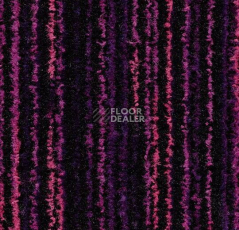 Ковровая плитка Forbo Coral Welcome 3219 Colour Purple фото 1 | FLOORDEALER