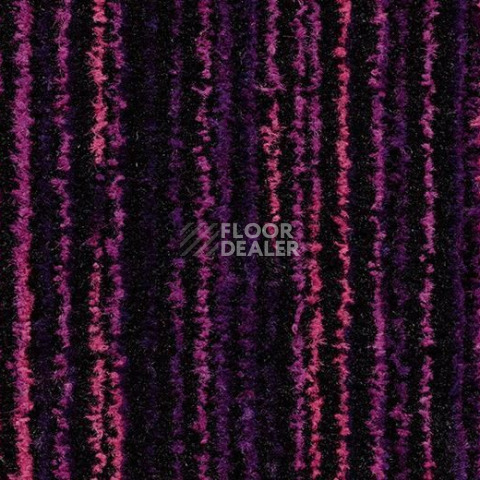 Ковровая плитка Forbo Coral Welcome 3219 Colour Purple фото 1 | FLOORDEALER