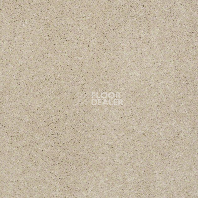 Ковролин Shaw Design Texture Platinum 103 фото 1 | FLOORDEALER