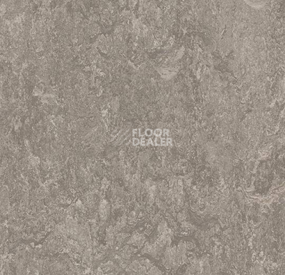 Кварцвиниловые полы Forbo Marmoleum Modular Marble 3146 фото 1 | FLOORDEALER