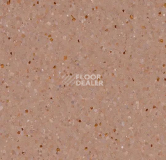 Линолеум Forbo Sphera Elite 50497 zircon фото 1 | FLOORDEALER