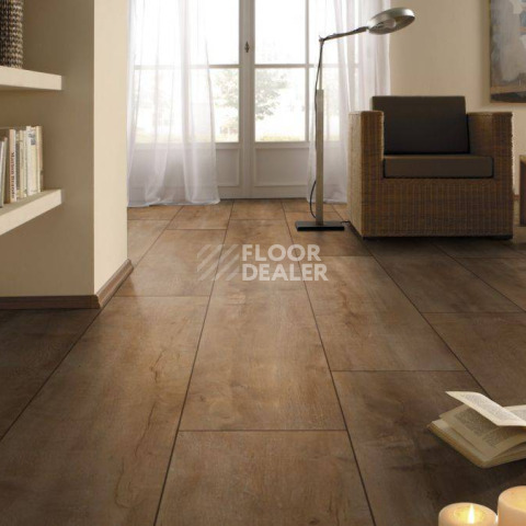 Kronotex Exquisit Plus d4983 Дуб Восточный Натуральный фото 4 | FLOORDEALER