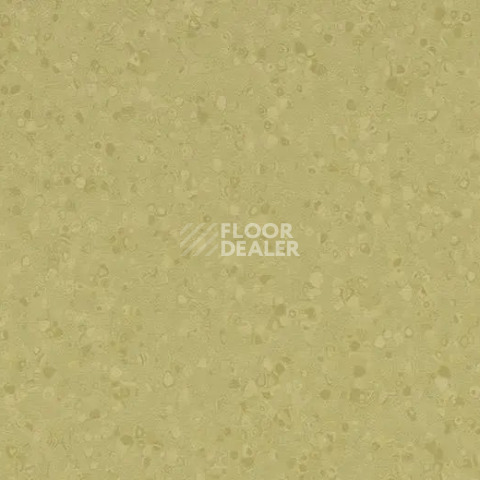 Линолеум Forbo Sphera Element 50065 moss фото 1 | FLOORDEALER