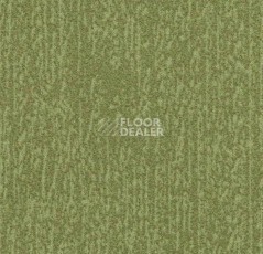 Ковровая плитка Forbo Flotex Colour Canyon 50*50 t 545027 Canyon Kelp фото 1 | FLOORDEALER