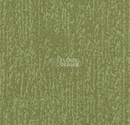 Ковровая плитка Forbo Flotex Colour Canyon 50*50 t 545027 Canyon Kelp фото 1 | FLOORDEALER