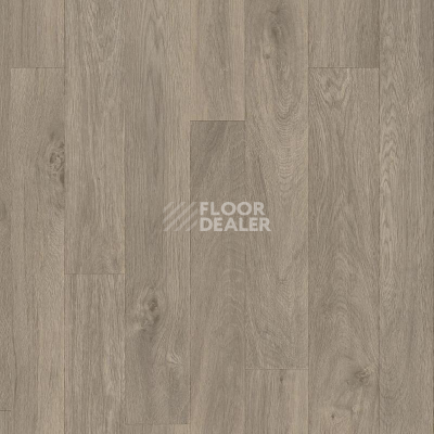 Линолеум Tarkett Titan CHESTER_2 фото 1 | FLOORDEALER
