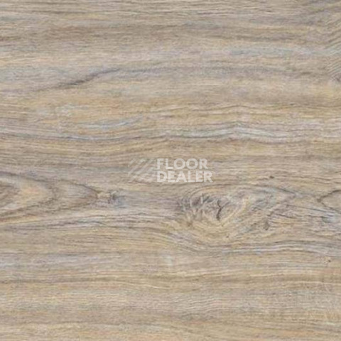 Пробковое покрытие Wood замковое CORK OAK LEACHED фото 1 | FLOORDEALER