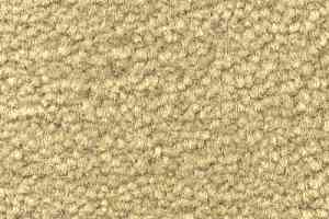 Ковролин Emphatic Beaulieu of America 56120 фото  | FLOORDEALER