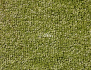 Ковролин SAG Palmira 8001 фото 1 | FLOORDEALER