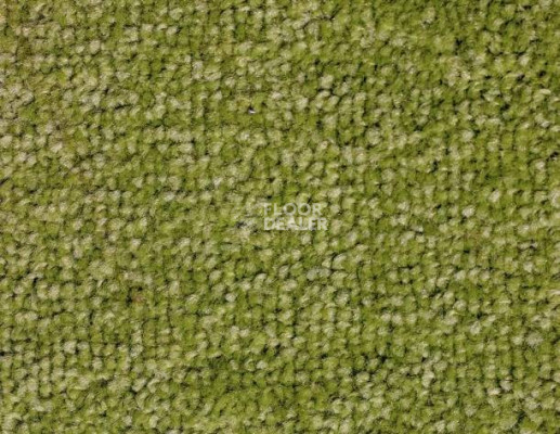 Ковролин SAG Palmira 8001 фото 1 | FLOORDEALER