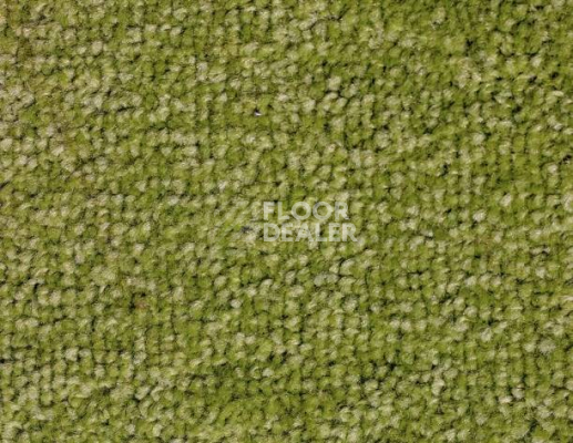 Ковролин SAG Palmira 8001 фото 1 | FLOORDEALER