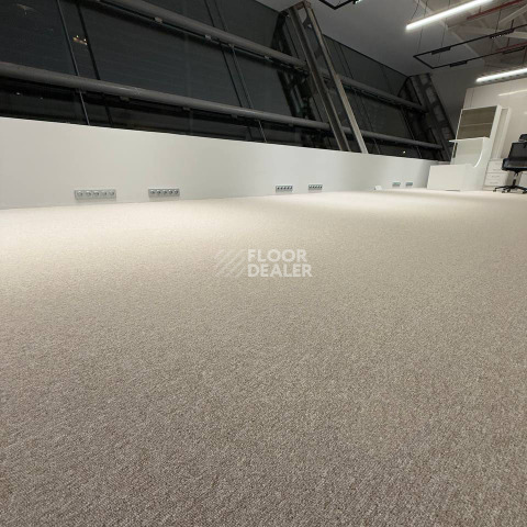AW Medusa / Медуза 33 фото 11 | FLOORDEALER
