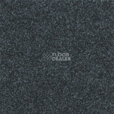 Ковролин Tarkett Enter Enter 66810 фото 1 | FLOORDEALER