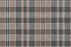 Ковролин Forbo Flotex Vision Pattern 590003 (Plaid) Clay фото  | FLOORDEALER