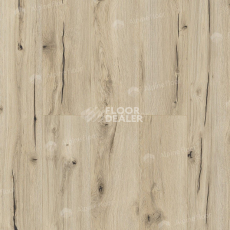 Classen Arteo 8 M 62748 Дуб Дамара фото 3 | FLOORDEALER