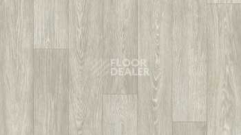 Линолеум Tarkett Junior ARNOLD 1 фото 1 | FLOORDEALER