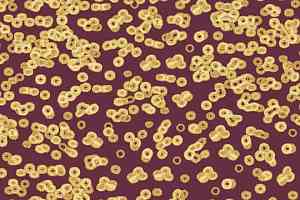 Ковролин Forbo Flotex Sottsass Bacteria 990501 фото  | FLOORDEALER