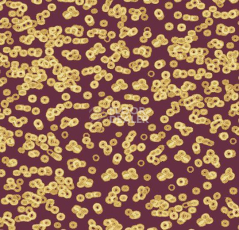 Ковролин Forbo Flotex Sottsass Bacteria 990501 фото 1 | FLOORDEALER