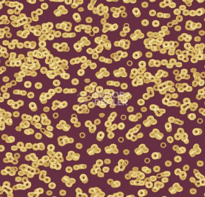 Ковролин Forbo Flotex Sottsass Bacteria 990501 фото 1 | FLOORDEALER