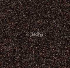 Грязезащитные покрытия Forbo Coral Luxe 2916 Garnet фото 1 | FLOORDEALER