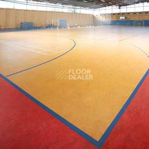 Линолеум Forbo Marmoleum Sport 83215 фото 1 | FLOORDEALER