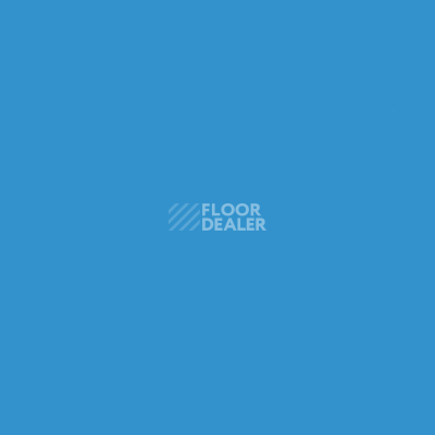 Линолеум Tarkett Omnisports R65 TH_SKY_BLUE фото 1 | FLOORDEALER
