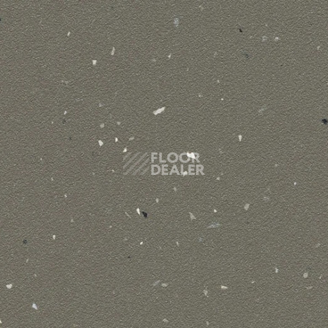 Линолеум Forbo SureStep Laguna 178872 earth фото 1 | FLOORDEALER
