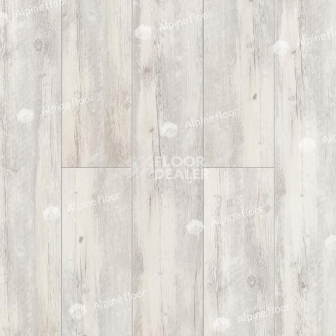 Кварцвиниловые полы Alpine Floor Classic Акация CLICK ЕСО 107-8 фото 1 | FLOORDEALER
