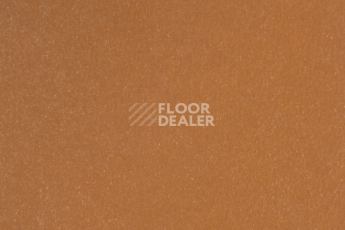 Линолеум Forbo Marmoleum Solid Walton 3370-337035 terracotta фото 1 | FLOORDEALER