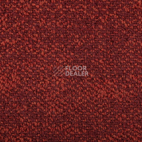 Haima Coral 36 фото 2 | FLOORDEALER